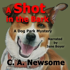 cover for soon-to-be-released audiobook